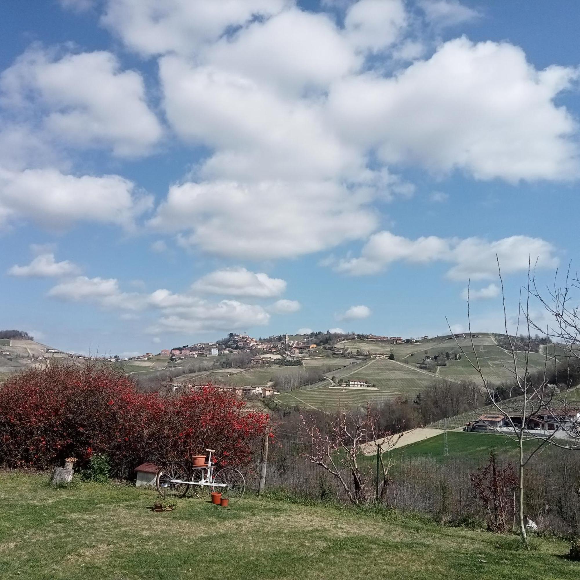 Agriturismo Bric Di Gai Monforte dʼAlba Zimmer foto